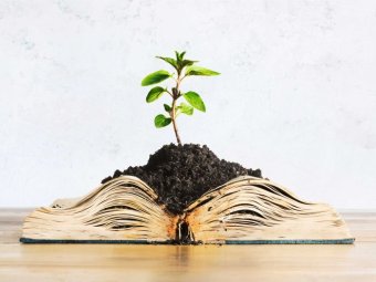 Nature writing and nonfiction for women: trends from the Frankfurt Book Fair 2016