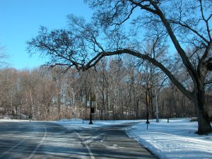 Rule of writing fiction: go for a walk