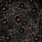 Memoir-related links I liked this week